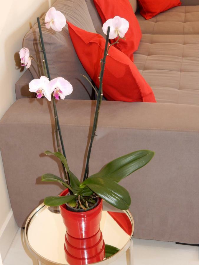 Beach & Sea Apt, Fast Wifi, Airco, Private Parking And Pool Portimão Exterior foto